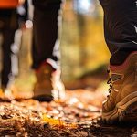 West Mendip Walkers August walks