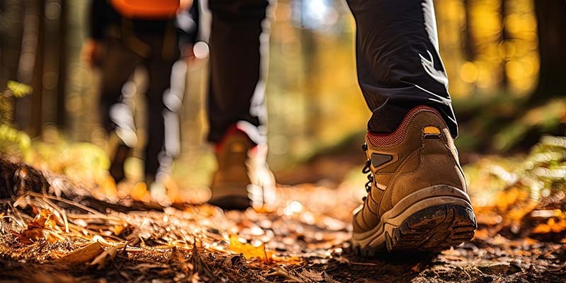 West Mendip Walkers August walks